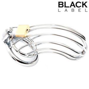 Bird Cage - Stainless Steel Chastity Cage