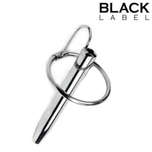 Stainless Steel Day And Night Prince Plug