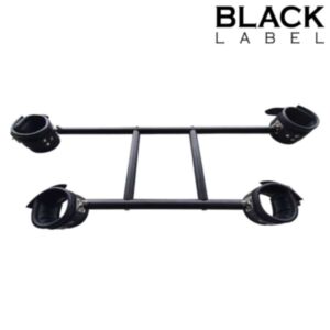 Black Line | Steel + Leather Bondage Pranger