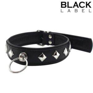 Leather Studded O-Ring Collar Black